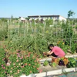 Bioclimatico Sabinares Del Arlanza 3*