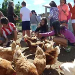 فندق Bioclimatico Sabinares Del Arlanza 3*