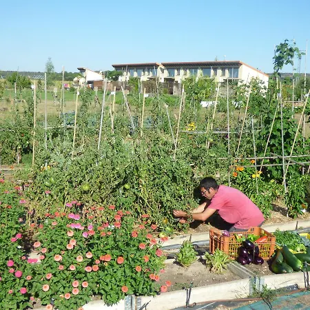 Rural Bioclimático Sabinares Del Arlanza 3*