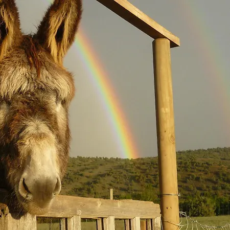Rural Bioclimático Sabinares Del Arlanza 3*