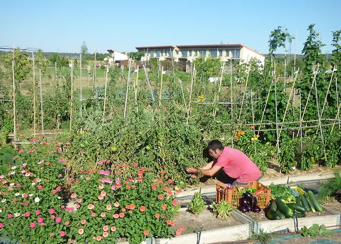 Bioclimatico Sabinares Del Arlanza 3*