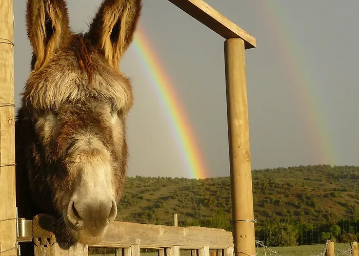 Bioclimatico Sabinares Del Arlanza 3*