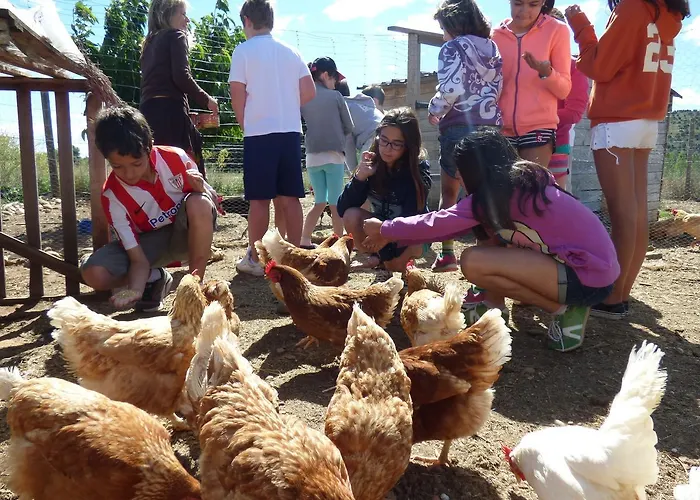 호텔 Bioclimatico Sabinares Del Arlanza 3*