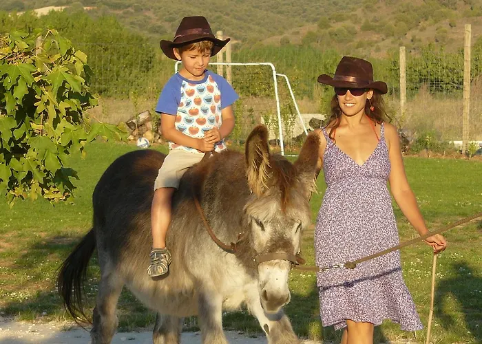 호텔 Bioclimatico Sabinares Del Arlanza Puentedura