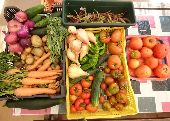 호텔 Bioclimatico Sabinares Del Arlanza 3*