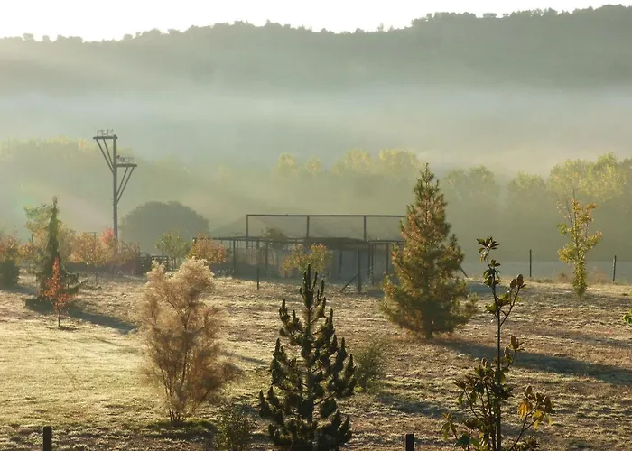 호텔 Bioclimatico Sabinares Del Arlanza Puentedura